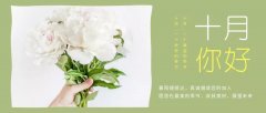 合作經營，共負盈虧，原您在最美的季節(jié)，收獲美好，展望未來
